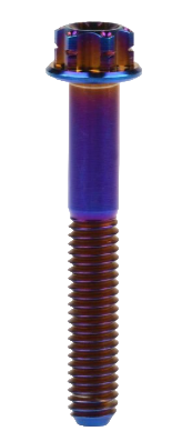 Titan Dual Drive Schraube M10x1,25mm Außensechskant/innen Torx