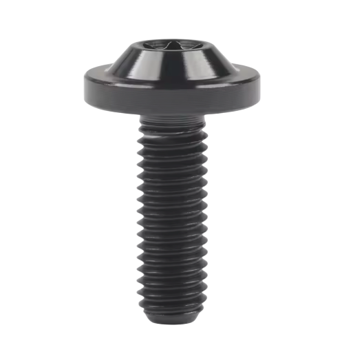 Titan Torx Schraube Linsenkopf M6x1,0mm